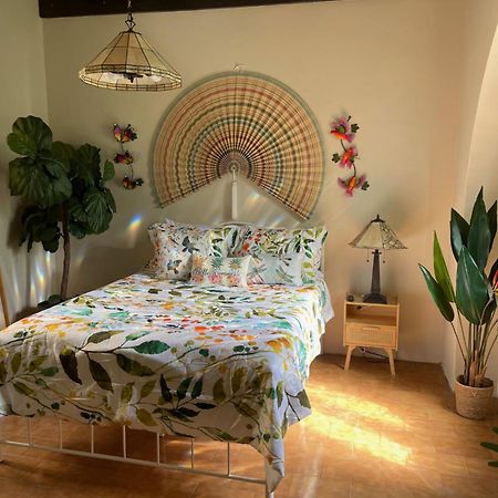 The Garden Apartment, The Willow Apartment, & The Tropical Apartment At Casa Of Essence In Old San Juan Exterior foto